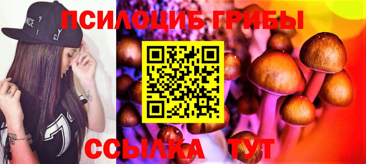 Фролово  Псилоцибиновые грибы Psilocybine cubensis  Вход с VPN  Псилоцибиновые грибы GOLDEN TEACHER 