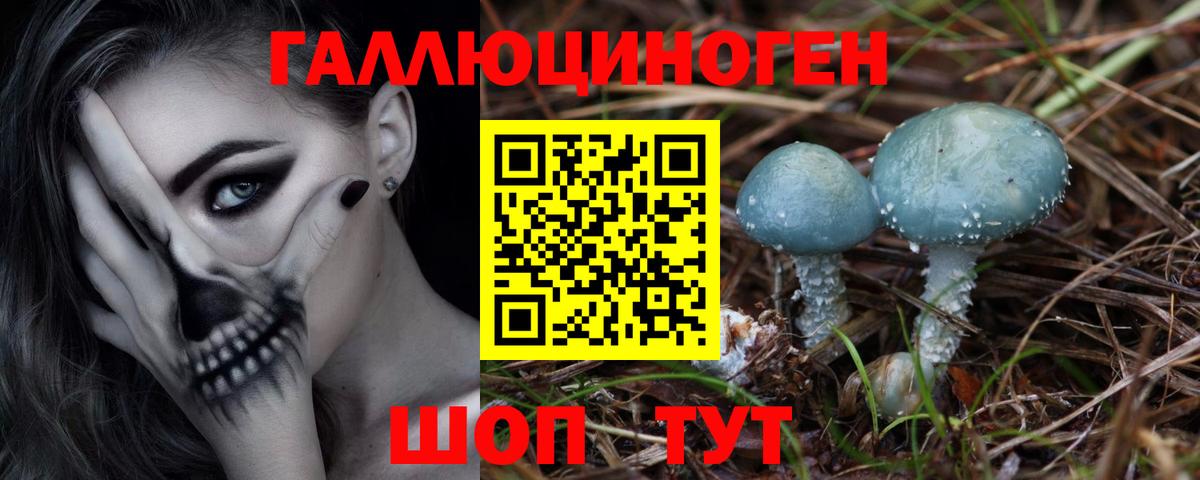Галлюциногенные грибы Psilocybine cubensis Фролово